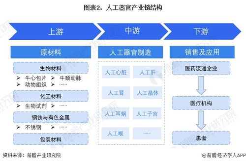 预见2024 中国人工器官行业全景图谱——市场现状、竞争格局与发展趋势解析